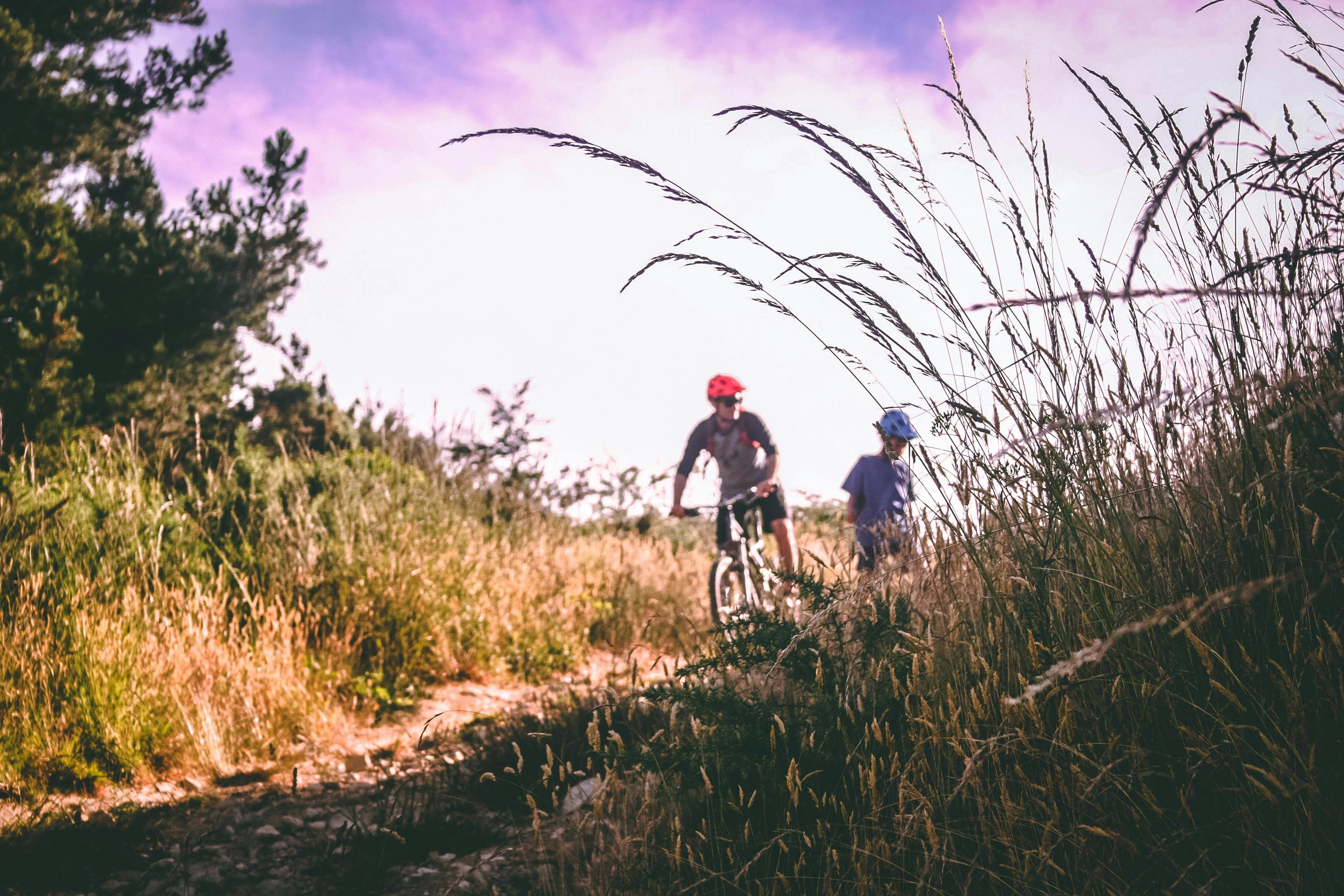 Two mountain bikers riding peacefully along a trail, enjoying the sun and a nice tour guide